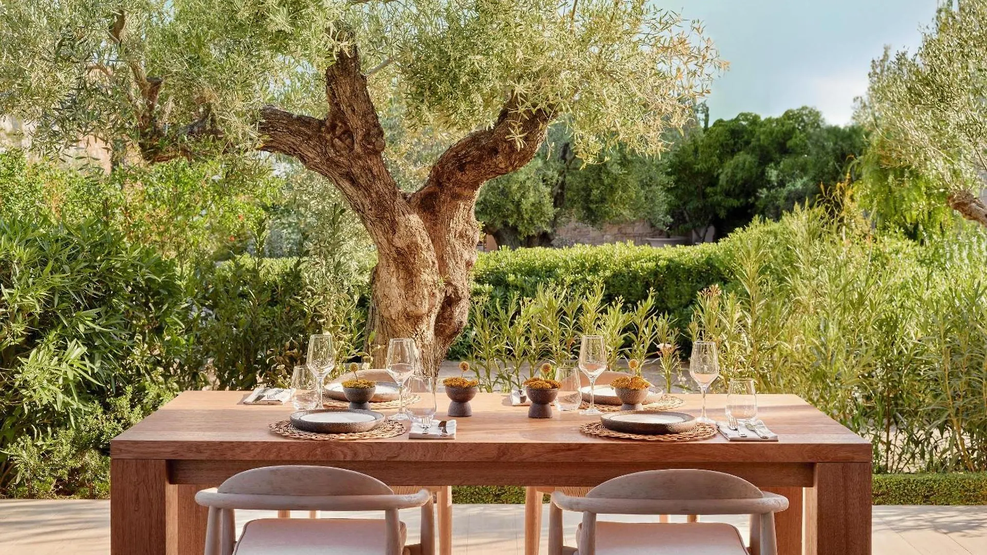 Hotel Ikos Olivia Gerakini Grecja